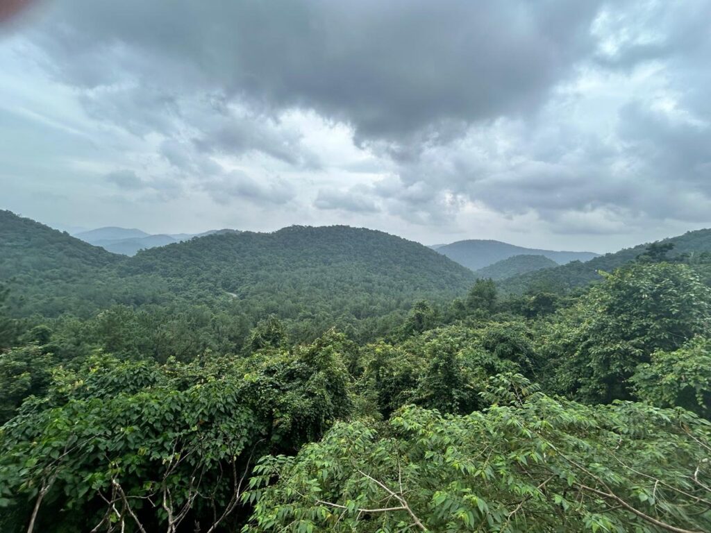 Maredumilli mountains covered in mist and greenery