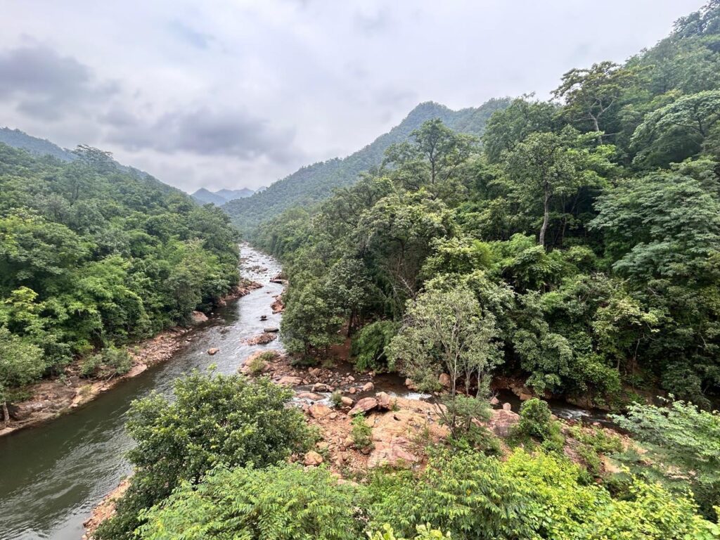 A Road Trip Through Maredumilli: Misty Mountains, Ghat Roads, Tea & Tribal Delights River flowing through the green hills of Maredumilli