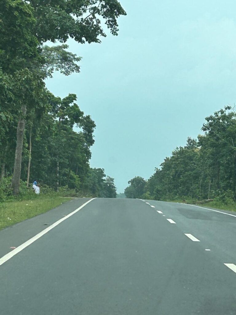 A Road Trip Through Maredumilli: Misty Mountains, Ghat Roads, Tea & Tribal Delights Forest road through Maredumilli
