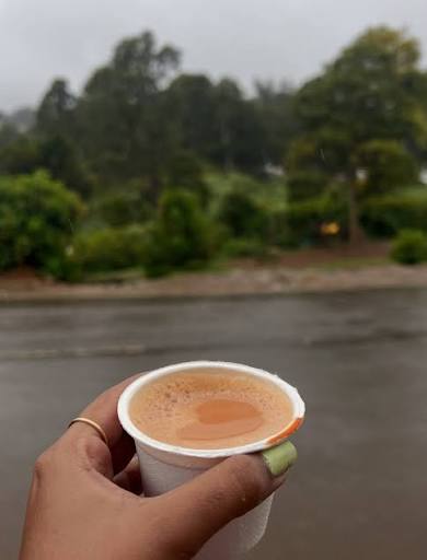 A Road Trip Through Maredumilli: Misty Mountains, Ghat Roads, Tea & Tribal Delights tea